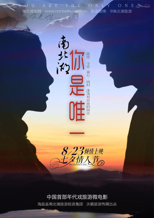阿伯里斯特威斯大学本科学位证